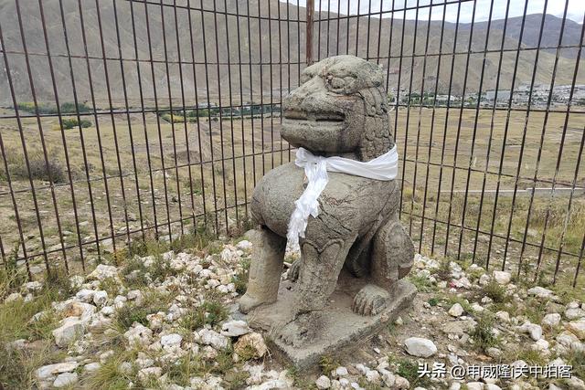 山南市：寻访藏王墓