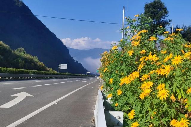 勐撒驿站：站好了岗，就是守好了家