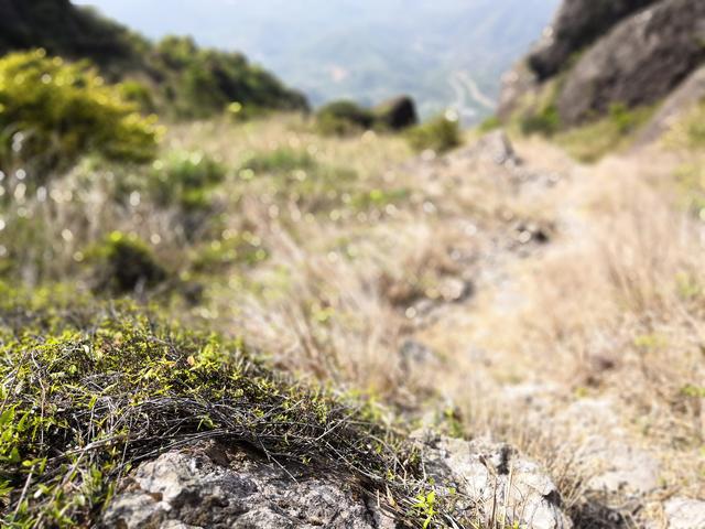 漳州灵通山（2018.4.3）