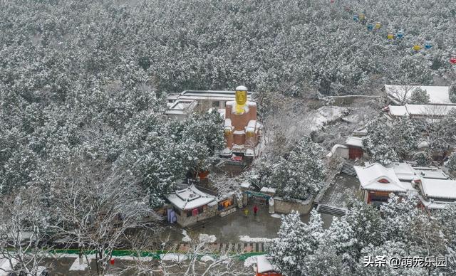 雪精灵造访济南城，趵突泉边遇奇迹，千佛山上现童话