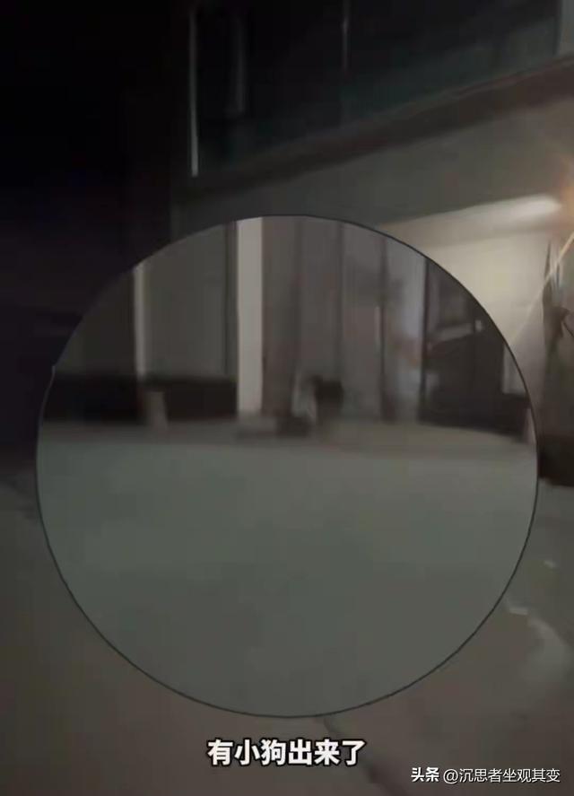 郭某刚案笔录披露：郭家人郭某荣的供词，很能说明案发当时的情况