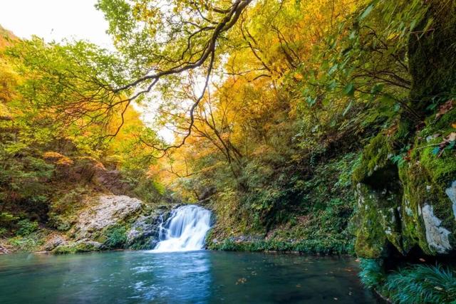 成都出发2.5h刹拢最绝红叶之城！秋色媲美九寨，一城吃够三省美食！更有山林温泉泡过瘾！