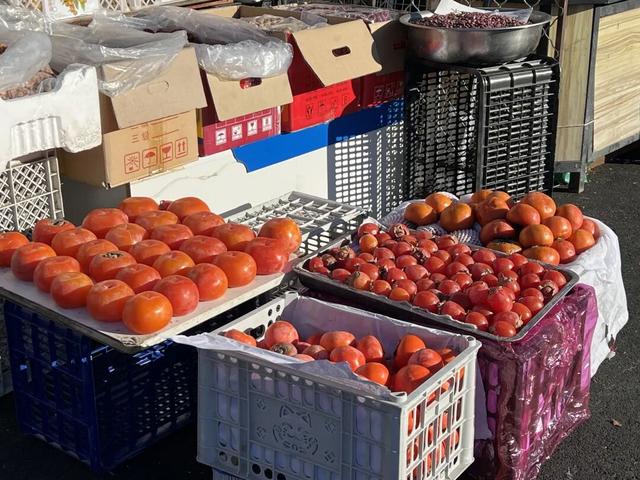 冬游牙克石：这厢有礼