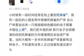 这个世界上真的有怪物吗？众多网友的离奇经历让人感到恐怖图片