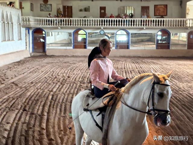 2025年环球知旅——海岛公主号邮轮(第九天)