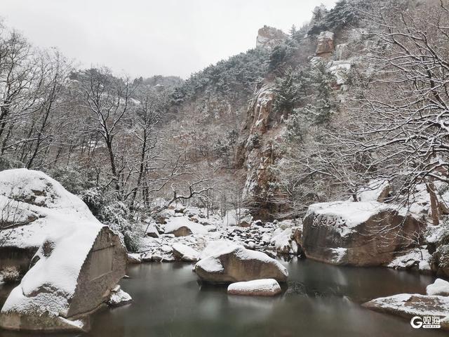 雪后崂山上演冬日浪漫