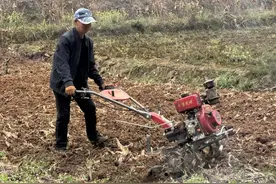 红河·春，忙！图片