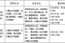 合肥公交清明祭扫专线可线上订票图片