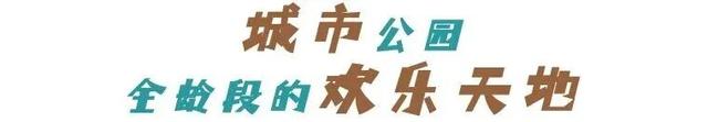 超级出片！萧山这里藏着你不知道的惬意时光