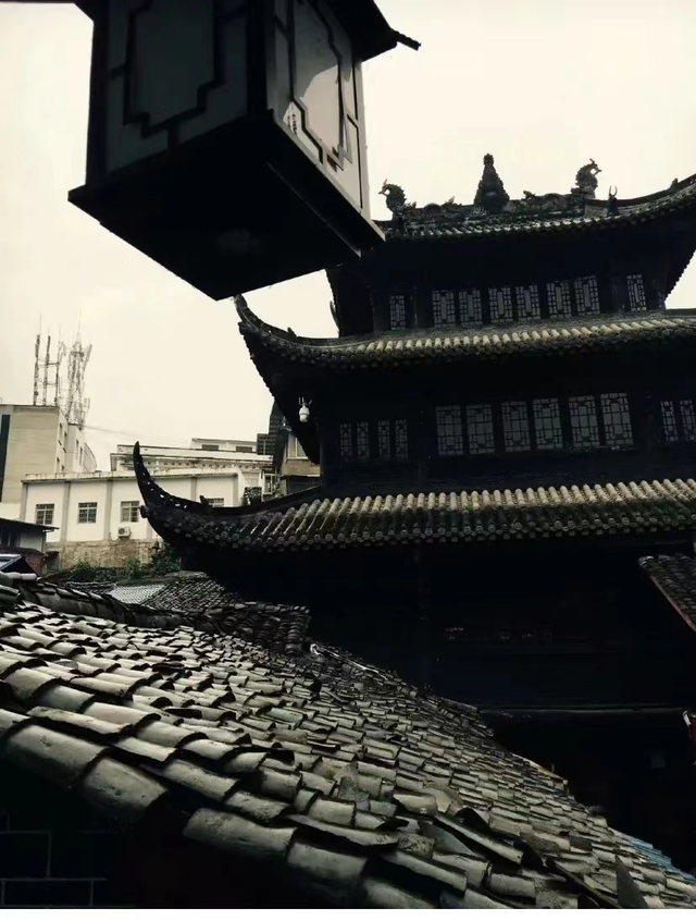 在剑阁，探索古迹与自然的完美之旅
