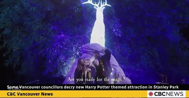 最火公园秒变魔法森林！本地人却吐槽：“门票太贵，不如从前！”