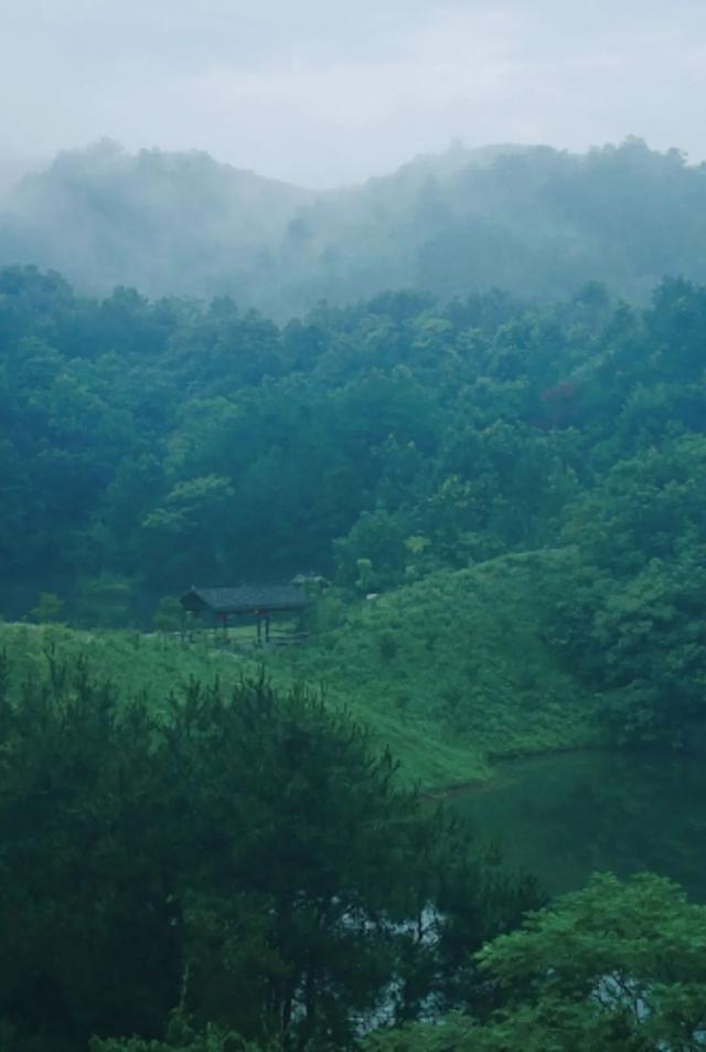 降雨持续！最凉快的一周！黄陂赏雨去！