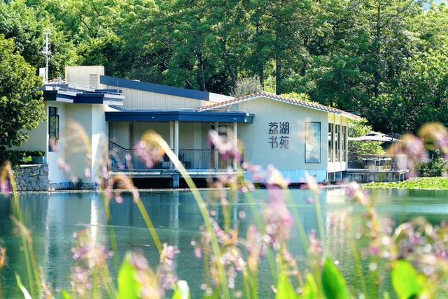 双节“趣”深圳：公园藏满限定玩法，不出深都有多样体验