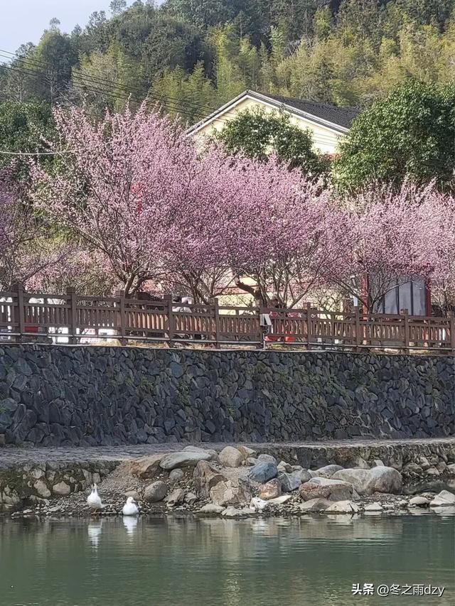 土楼拾光③:梅林古镇(2025.2.11 漳州·南靖)