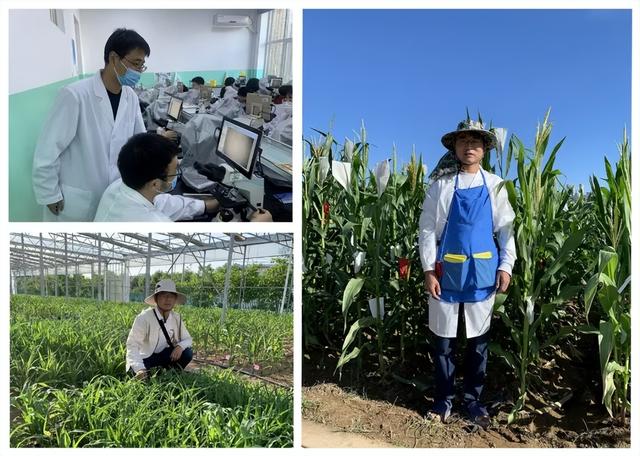 中科馆大讲堂公益专场讲座 《从一粒米看中国：大国粮仓里的科学故事》