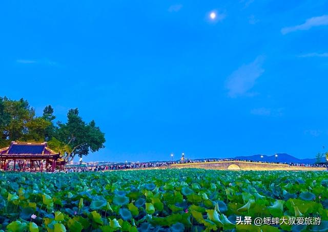 杭州西湖十景是哪十个景点？一日游该如何规划？有什么注意事项？