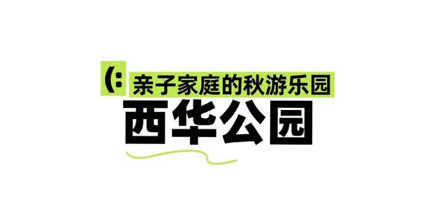 昆明秋日宝藏公园，每一个都“美到心巴”！