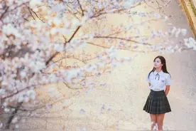 大雨之后，武汉的樱花还好吗？图片