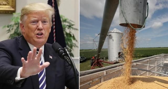 还在叫嚣！79岁鹰派狂妄宣称对华开战！川普却急撤关税，怕了？