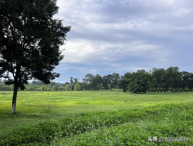 成都最近的原野公园，超级惊艳，一个湖风景就是王者，公交直达！