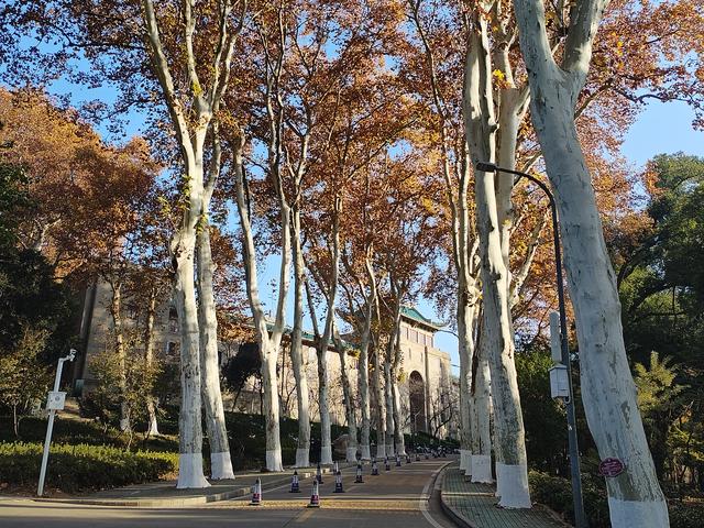 鄂渝行第八天：漫游大武汉