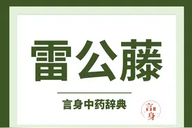 雷公藤（祛风湿热药）图片