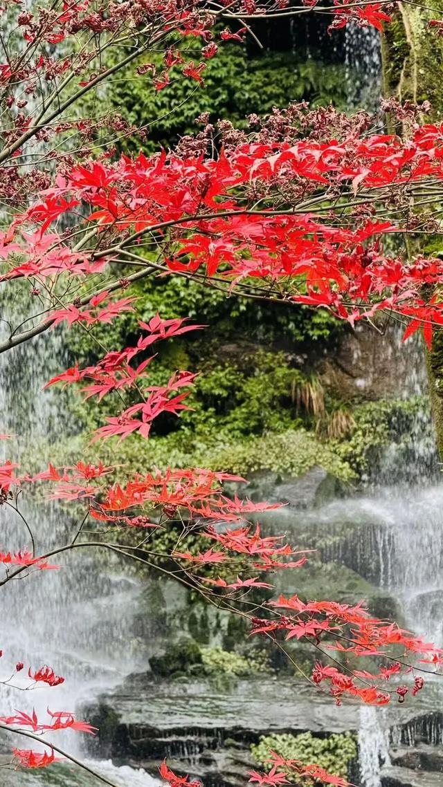 去邛崃！赴一场暖阳与山间的私语