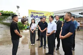 段小龙调研渭滨区“千万工程”工作图片