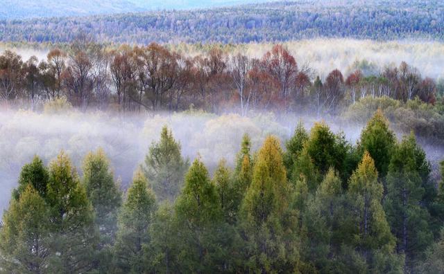 秋天的第一场旅行 ，穿越大兴安岭，那是一片神奇而美丽的土地