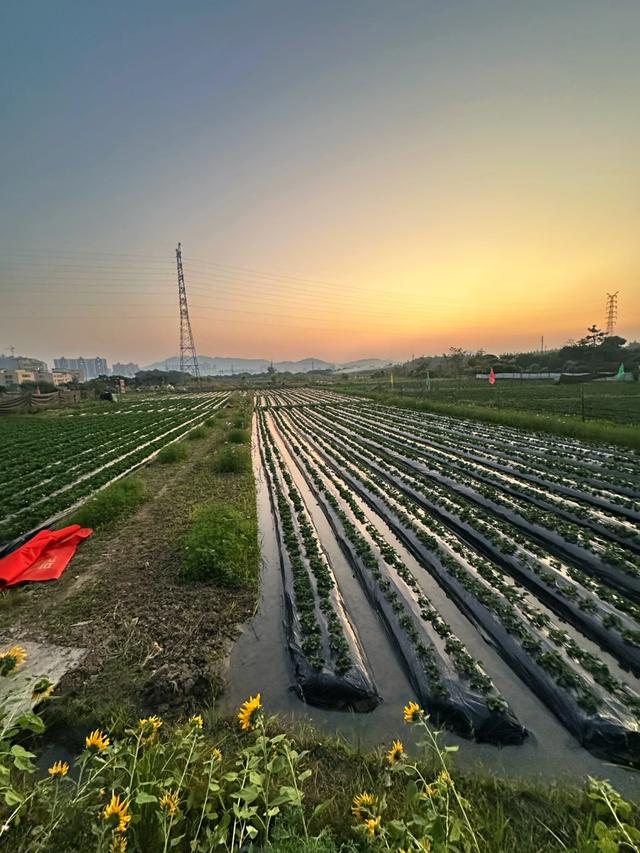 从化漫游记:撞见广州最温柔的落日与烟火