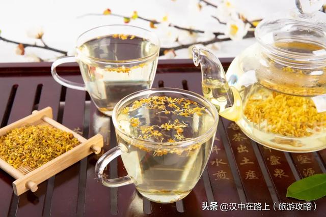 秋雨落汉中，桂香漫全城（最佳赏桂打卡点推荐）
