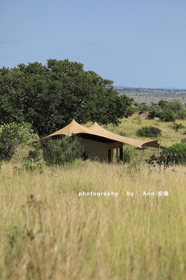 【坦桑尼亚】：法式的精致与东非丛林的狂野，无缝衔接！