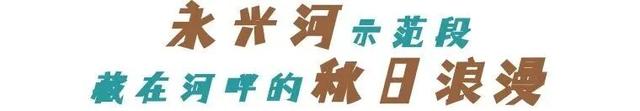 超级出片！萧山这里藏着你不知道的惬意时光