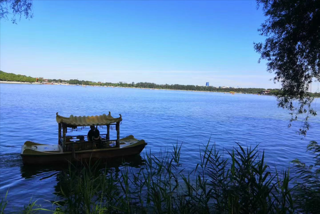 情感爆文:人这辈子，最不甘心的事情，其实就五个字	，你知道？