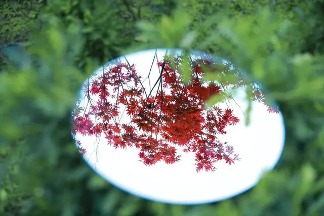 捡秋，在千年古城里体验“寻宝”游戏