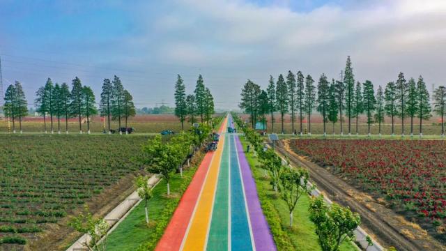 宜兴乡村之美，美在哪儿？