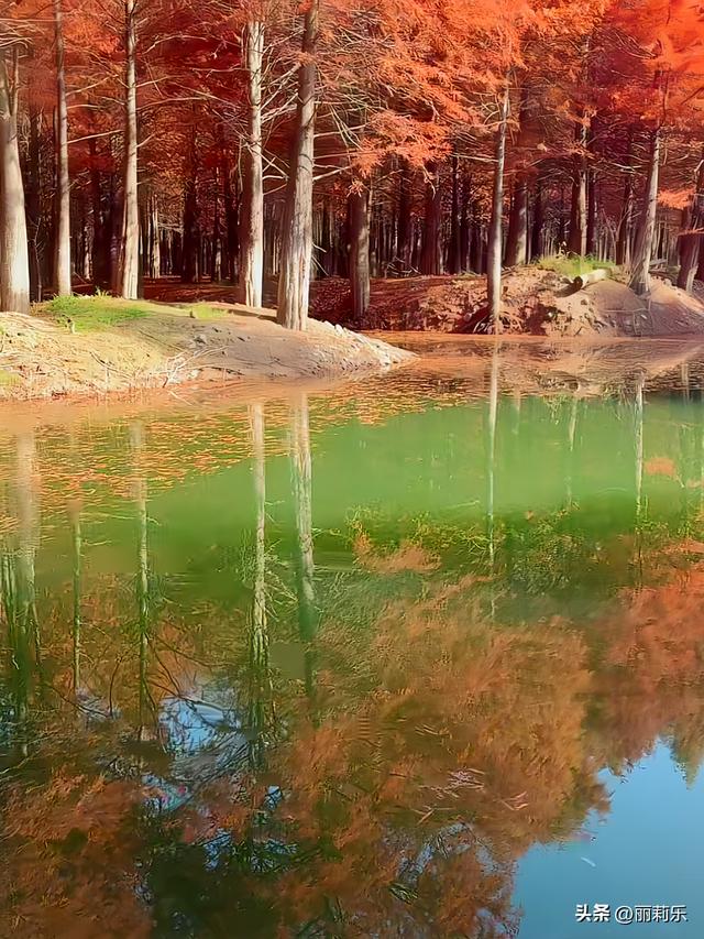 这个冬天，我撞见了一整片燃烧的森林