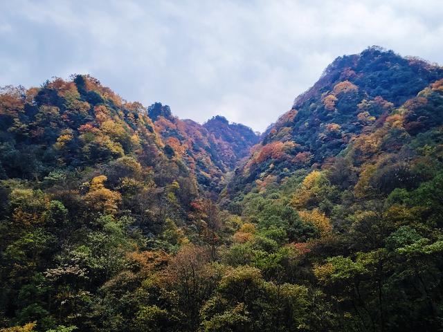 南行漫记：汉中南郑区到巴中恩阳区，9小时233公里的行走路书