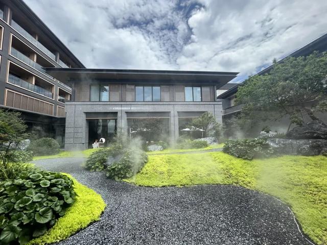 住山舍、寻茶趣、探自然！武夷山的康养时光，尽是自在与松弛