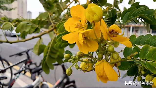 我这么爱你，你也爱我吗