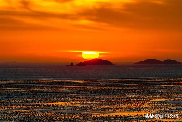 初冬最适合躺平的枸杞岛，用三天两晚邀你来村游！