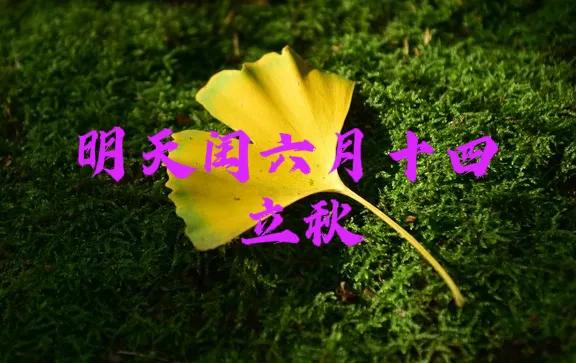 明天立秋，不管多忙，牢记：三不做，三要吃，秋收祥瑞自然来