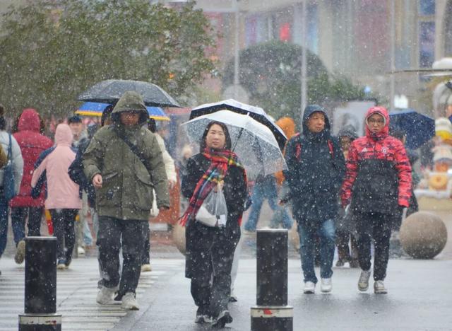 上海全城追雪！朋友圈和校园里彻底沸腾！零下6℃要来了，赏雪打卡还有机会