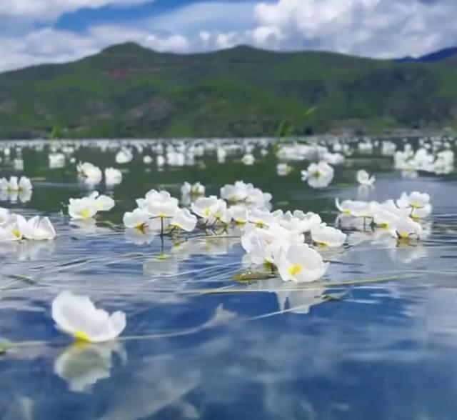 泸沽湖保姆级避坑指南！看这一篇就够了