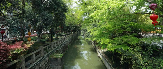 藏不住了！萧山的春天，美到犯规！