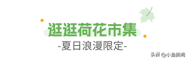 宠宠宠！“苏超”福利再升级，淮安市民速收！