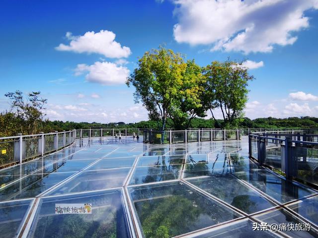 这座自贡宝藏公园不仅有水上玻璃栈道，更有“水帘长廊”瀑布！