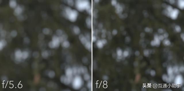 尼康500mm f/5.6E PF镜头评测：轻量化设计与卓越的超远摄镜头
