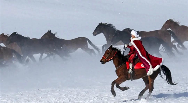 贺娇龙身亡细节曝光：马受惊尥蹶子，蹄踢到她头部	，此前疑有征兆