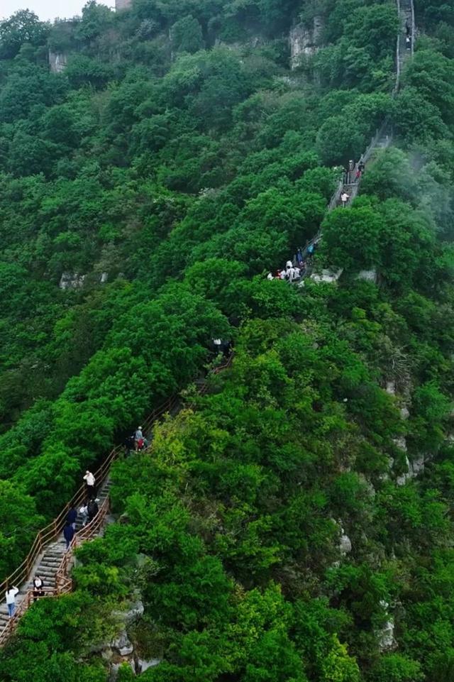 神农山双暴击！绿野仙踪美到窒息，云海翻涌撞进仙侠剧